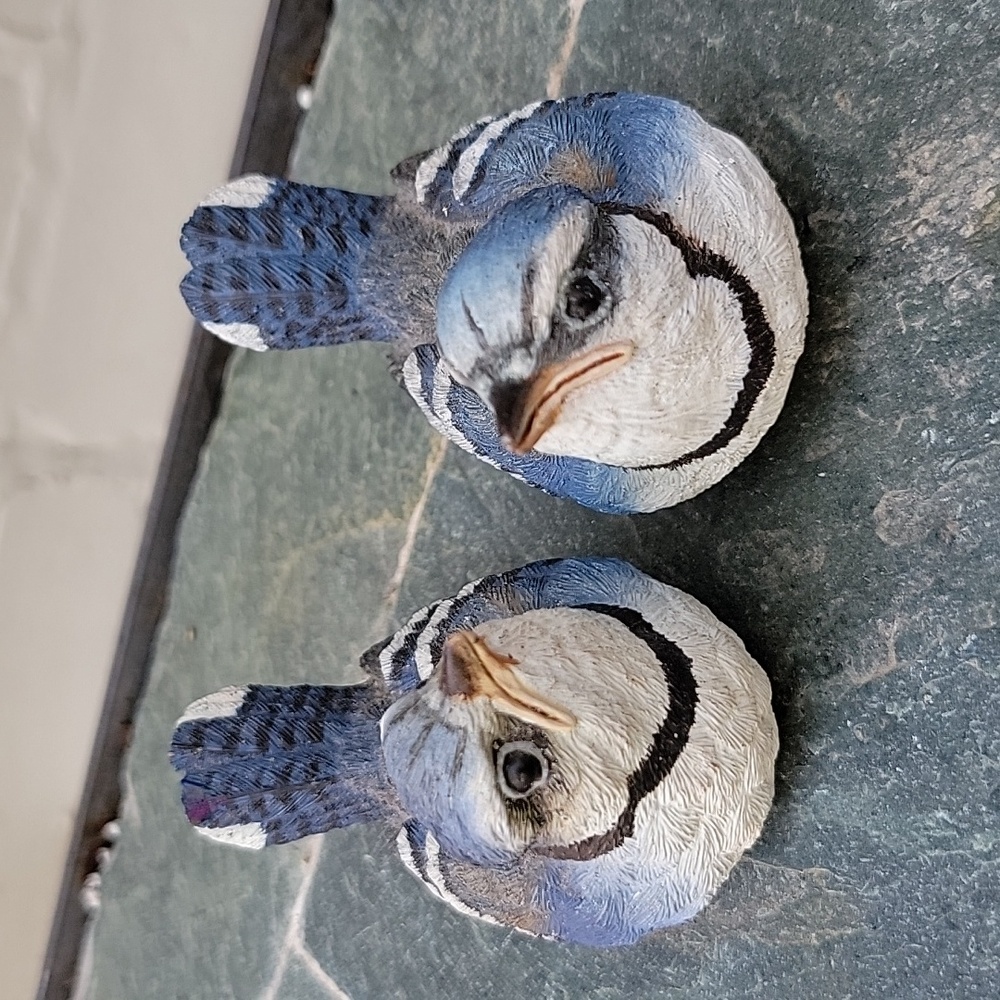 Two Small Resin Blue Jay's. Expressive Faces So Cute.